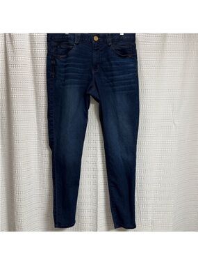 Democracy Indigo Skinny Stretch Jeans